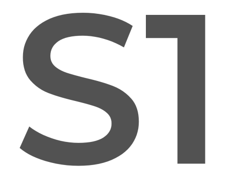 S1!