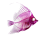 artikel mit transparentem bild1