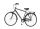 Herren-Trekkingrad
