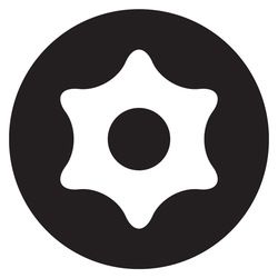 Torx-Security-Schraube